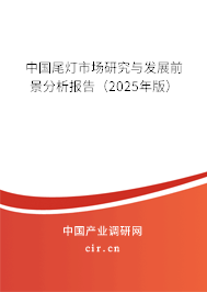 中國尾燈市場研究與發(fā)展前景分析報告(2025年版) 中國尾燈市場研究與發(fā)展前景分析報告(2025年版)