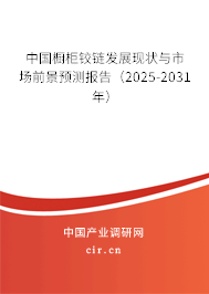 中國櫥柜鉸鏈發(fā)展現(xiàn)狀與市場前景預(yù)測報(bào)告（2025-2031年）