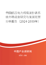 中國(guó)低壓電力線載波抄表系統(tǒng)市場(chǎng)調(diào)查研究與發(fā)展前景分析報(bào)告（2024-2030年）