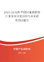 2025-2031年中國對氟扁桃酸行業(yè)發(fā)展深度調研與未來趨勢預測報告