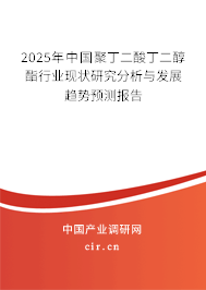 2025年中國聚丁二酸丁二醇酯行業(yè)現(xiàn)狀研究分析與發(fā)展趨勢預(yù)測報告