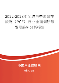 2022-2028年全球與中國(guó)聚羧酸醚(PCE)行業(yè)全面調(diào)研與發(fā)展趨勢(shì)分析報(bào)告 2022-2028年全球與中國(guó)聚羧酸醚(PCE)行業(yè)全面調(diào)研與發(fā)展趨勢(shì)分析報(bào)告