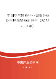 中國空氣噴槍行業(yè)調(diào)查分析及市場前景預(yù)測報告（2025-2031年）