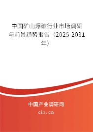 中國礦山爆破行業(yè)市場調(diào)研與前景趨勢報告（2025-2031年）
