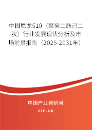 中國尼龍610（聚癸二酰己二胺）行業(yè)發(fā)展現(xiàn)狀分析及市場前景報告（2025-2031年）