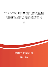 2025-2031年中國氣體流量控制器行業(yè)現(xiàn)狀與前景趨勢報告