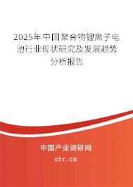 2025年中國聚合物鋰離子電池行業(yè)現(xiàn)狀研究及發(fā)展趨勢分析報告