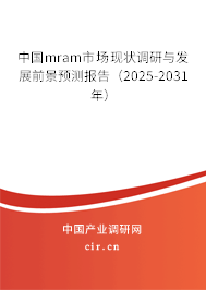 中國mram市場現(xiàn)狀調(diào)研與發(fā)展前景預(yù)測報告（2025-2031年）