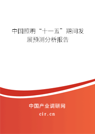 中國照明“十一五”期間發(fā)展預(yù)測(cè)分析報(bào)告