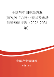全球與中國電動汽車(BEV,PHEV)行業(yè)現(xiàn)狀及市場前景預測報告(2025-2031年) 全球與中國電動汽車(BEV,PHEV)行業(yè)現(xiàn)狀及市場前景預測報告(2025-2031年)