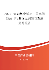 2024-2030年全球與中國(guó)電阻應(yīng)變計(jì)行業(yè)深度調(diào)研與發(fā)展趨勢(shì)報(bào)告 2024-2030年全球與中國(guó)電阻應(yīng)變計(jì)行業(yè)深度調(diào)研與發(fā)展趨勢(shì)報(bào)告