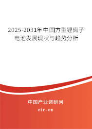 2025-2031年中國(guó)方型鋰離子電池發(fā)展現(xiàn)狀與趨勢(shì)分析