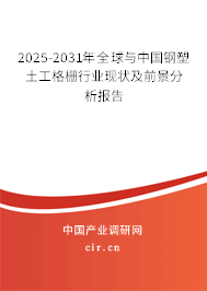 2025-2031年全球與中國(guó)鋼塑土工格柵行業(yè)現(xiàn)狀及前景分析報(bào)告 2025-2031年全球與中國(guó)鋼塑土工格柵行業(yè)現(xiàn)狀及前景分析報(bào)告