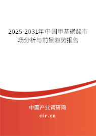 2025-2031年中國(guó)甲基磺酸市場(chǎng)分析與前景趨勢(shì)報(bào)告