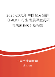 2025-2031年中國(guó)聚芳醚酮（PAEK）行業(yè)發(fā)展深度調(diào)研與未來(lái)趨勢(shì)分析報(bào)告
