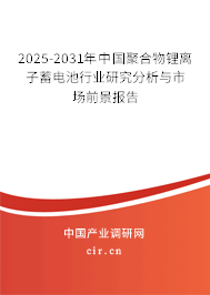 2025-2031年中國聚合物鋰離子蓄電池行業(yè)研究分析與市場(chǎng)前景報(bào)告
