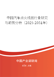 中國汽車點火線圈行業(yè)研究與趨勢分析(2025-2031年) 中國汽車點火線圈行業(yè)研究與趨勢分析(2025-2031年)