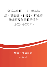 全球與中國(guó)三（三甲基硅烷）硼酸酯（TMSB）行業(yè)市場(chǎng)調(diào)研及前景趨勢(shì)報(bào)告（2024-2030年）