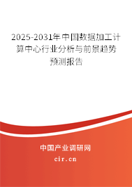 2025-2031年中國數(shù)據(jù)加工計算中心行業(yè)分析與前景趨勢預(yù)測報告