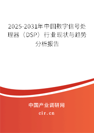 2025-2031年中國數(shù)字信號處理器(DSP)行業(yè)現(xiàn)狀與趨勢分析報(bào)告 2025-2031年中國數(shù)字信號處理器(DSP)行業(yè)現(xiàn)狀與趨勢分析報(bào)告