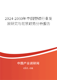 2024-2030年中國(guó)塑磁行業(yè)發(fā)展研究與前景趨勢(shì)分析報(bào)告