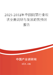 2025-2031年中國銅箔行業(yè)現(xiàn)狀全面調(diào)研與發(fā)展趨勢預(yù)測報告