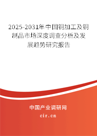 2025-2031年中國銅加工及銅制品市場深度調查分析及發(fā)展趨勢研究報告