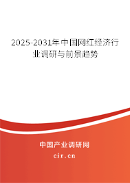 2025-2031年中國網(wǎng)紅經(jīng)濟(jì)行業(yè)調(diào)研與前景趨勢 2025-2031年中國網(wǎng)紅經(jīng)濟(jì)行業(yè)調(diào)研與前景趨勢