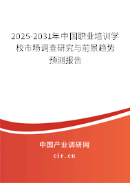 2025-2031年中國(guó)職業(yè)培訓(xùn)學(xué)校市場(chǎng)調(diào)查研究與前景趨勢(shì)預(yù)測(cè)報(bào)告