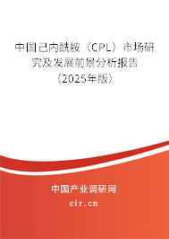 中國己內(nèi)酰胺(CPL)市場研究及發(fā)展前景分析報告(2025年版) 中國己內(nèi)酰胺(CPL)市場研究及發(fā)展前景分析報告(2025年版)