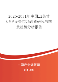 2025-2031年中國(guó)12英寸CMP設(shè)備市場(chǎng)調(diào)查研究與前景趨勢(shì)分析報(bào)告 2025-2031年中國(guó)12英寸CMP設(shè)備市場(chǎng)調(diào)查研究與前景趨勢(shì)分析報(bào)告