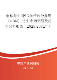 全球與中國5G前傳波分復用（WDM）行業(yè)市場調研及趨勢分析報告（2025-2031年）