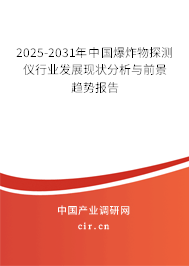 2025-2031年中國(guó)爆炸物探測(cè)儀行業(yè)發(fā)展現(xiàn)狀分析與前景趨勢(shì)報(bào)告
