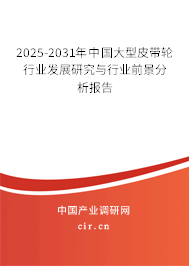 2025-2031年中國大型皮帶輪行業(yè)發(fā)展研究與行業(yè)前景分析報告 2025-2031年中國大型皮帶輪行業(yè)發(fā)展研究與行業(yè)前景分析報告