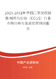 2025-2031年中國(guó)二氧化碳捕集利用與封存(CCUS)行業(yè)市場(chǎng)分析與發(fā)展前景預(yù)測(cè)報(bào)告 2025-2031年中國(guó)二氧化碳捕集利用與封存(CCUS)行業(yè)市場(chǎng)分析與發(fā)展前景預(yù)測(cè)報(bào)告