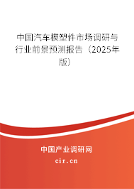 中國汽車模塑件市場調(diào)研與行業(yè)前景預(yù)測報(bào)告(2025年版) 中國汽車模塑件市場調(diào)研與行業(yè)前景預(yù)測報(bào)告(2025年版)