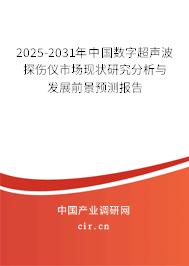 2025-2031年中國數(shù)字超聲波探傷儀市場現(xiàn)狀研究分析與發(fā)展前景預(yù)測報告