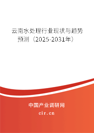 云南水處理行業(yè)現(xiàn)狀與趨勢預測（2025-2031年）