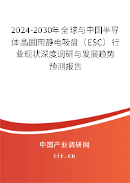 2024-2030年全球與中國半導(dǎo)體晶圓用靜電吸盤(ESC)行業(yè)現(xiàn)狀深度調(diào)研與發(fā)展趨勢預(yù)測報(bào)告 2024-2030年全球與中國半導(dǎo)體晶圓用靜電吸盤(ESC)行業(yè)現(xiàn)狀深度調(diào)研與發(fā)展趨勢預(yù)測報(bào)告