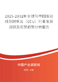 2025-2031年全球與中國(guó)發(fā)動(dòng)機(jī)控制單元（ECU）行業(yè)發(fā)展調(diào)研及前景趨勢(shì)分析報(bào)告