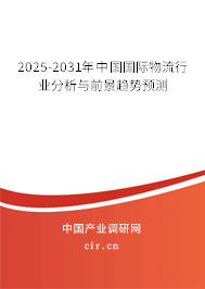 2025-2031年中國國際物流行業(yè)分析與前景趨勢預測 2025-2031年中國國際物流行業(yè)分析與前景趨勢預測