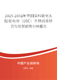 2025-2031年中國染料敏化太陽能電池(DSC)市場調(diào)查研究與前景趨勢分析報告 2025-2031年中國染料敏化太陽能電池(DSC)市場調(diào)查研究與前景趨勢分析報告