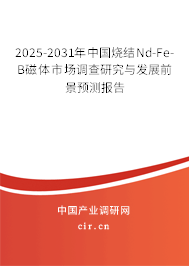 2025-2031年中國(guó)燒結(jié)Nd-Fe-B磁體市場(chǎng)調(diào)查研究與發(fā)展前景預(yù)測(cè)報(bào)告