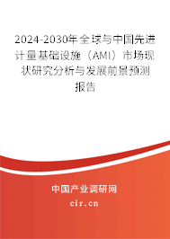 2024-2030年全球與中國先進計量基礎(chǔ)設(shè)施（AMI）市場現(xiàn)狀研究分析與發(fā)展前景預(yù)測報告