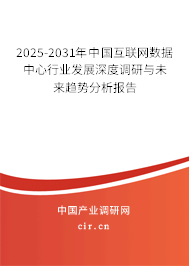 2025-2031年中國互聯(lián)網(wǎng)數(shù)據(jù)中心行業(yè)發(fā)展深度調(diào)研與未來趨勢分析報(bào)告