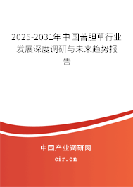 2025-2031年中國苦膽草行業(yè)發(fā)展深度調研與未來趨勢報告