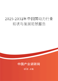 2025-2031年中國(guó)勞動(dòng)力行業(yè)現(xiàn)狀與發(fā)展前景報(bào)告