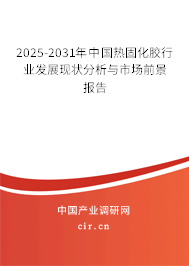 2024-2030年中國熱固化膠行業(yè)發(fā)展現(xiàn)狀分析與市場前景報(bào)告