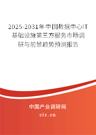 2025-2031年中國數(shù)據(jù)中心IT基礎(chǔ)設(shè)施第三方服務(wù)市場調(diào)研與前景趨勢預(yù)測報告