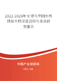 2022-2028年全球與中國(guó)水楊酰胺市場(chǎng)深度調(diào)研與發(fā)展趨勢(shì)報(bào)告